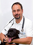 Dr. Pelle György