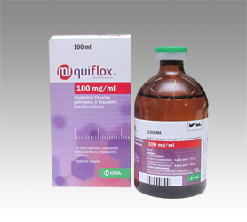 quiflox