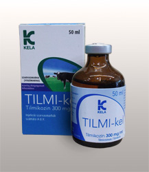 tilmikel