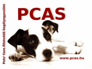 PCAS