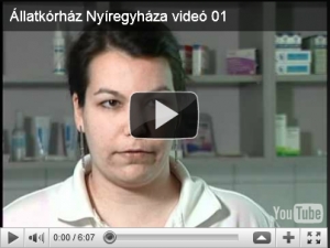 Mikrochip az egyedi azonosító