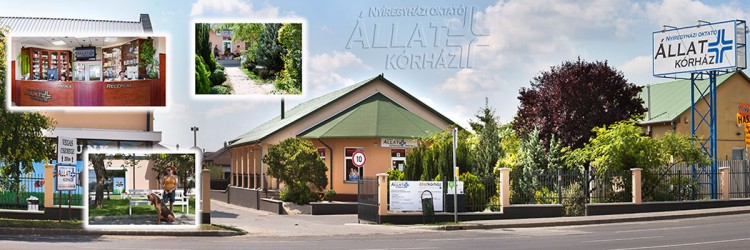 Állatkórház Nyíregyháza