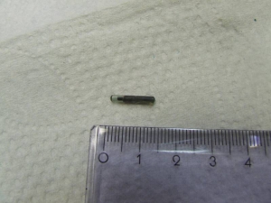 mikrochip