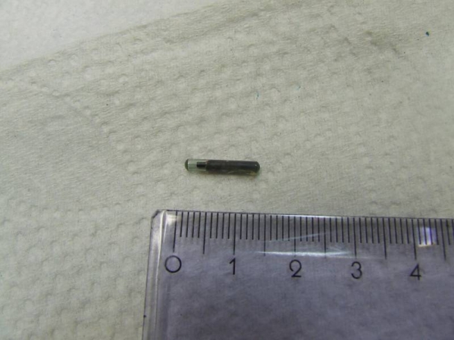 mikrochip