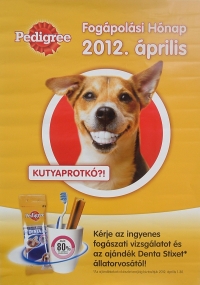 A fogak ápolása és a szájhigiénia