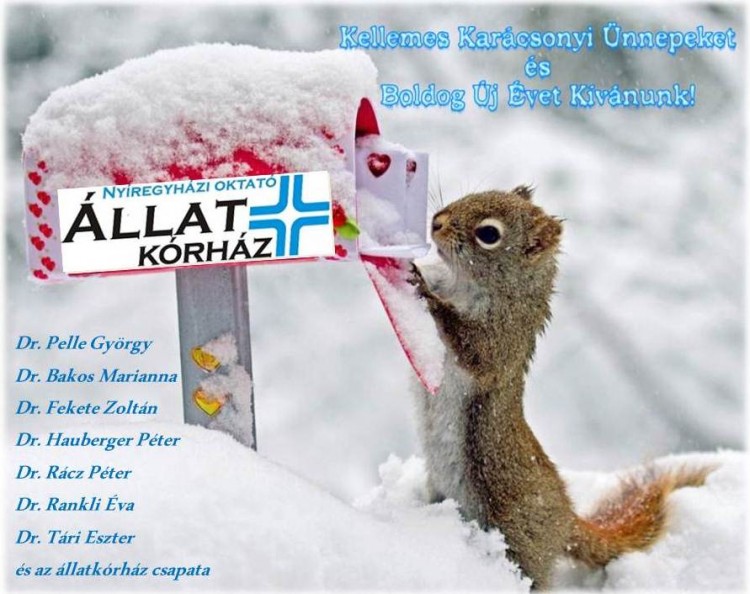 Kellemes &Uuml;nnepeket!