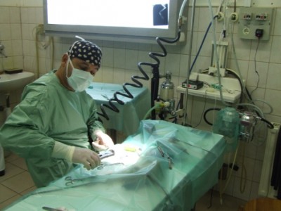 Baleset, v&eacute;rz&eacute;s