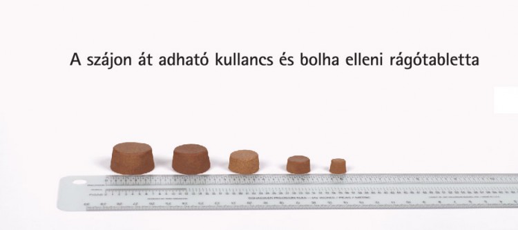 Sz&aacute;jon &aacute;t adhat&oacute;, &iacute;zes&iacute;tett r&aacute;g&oacute;tabletta kullancsok &eacute;s bolh&aacute;k ellen!