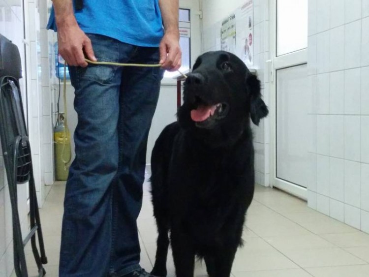 K&oacute;rh&aacute;zunkba a Rom&aacute;n főv&aacute;rosb&oacute;l is &eacute;rkeznek vizsg&aacute;latra.