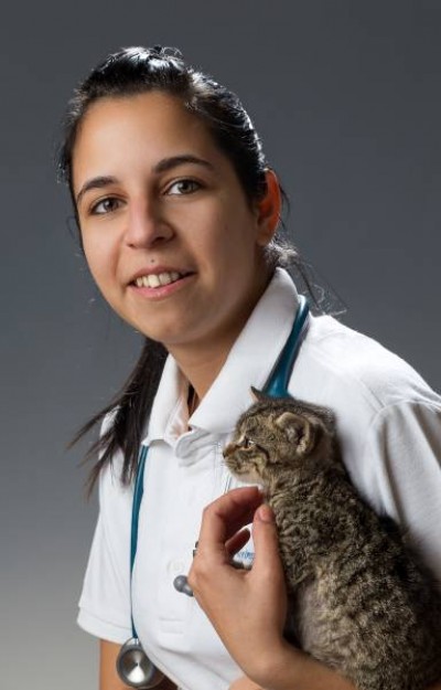 Dr. Piscoran No&eacute;mi