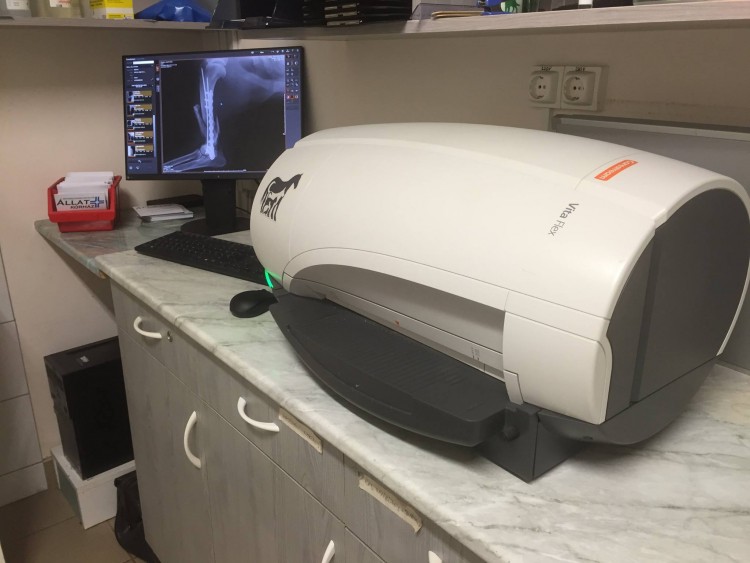 Digit&aacute;lis &aacute;t&aacute;ll&aacute;s az &Aacute;llatk&oacute;rh&aacute;zban