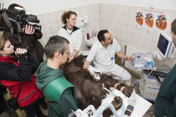 &Aacute;ltal&aacute;nos orvosi vizsg&aacute;laton esett &aacute;t Sarita