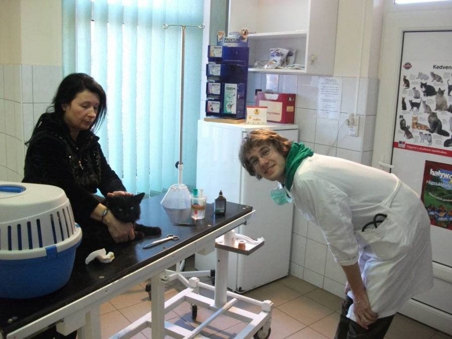 Ny&iacute;regyh&aacute;zi Oktat&oacute; &Aacute;llatk&oacute;rh&aacute;z &ndash; a n&eacute;v amelyre b&uuml;szk&eacute;k vagyunk 