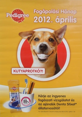 A fogak &aacute;pol&aacute;sa &eacute;s a sz&aacute;jhigi&eacute;nia