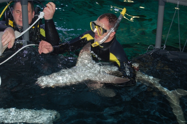 &Eacute;letmentő műt&eacute;t egy c&aacute;p&aacute;n!