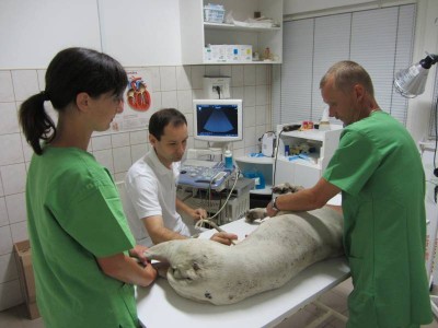 Műt&eacute;t előtti teendők