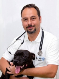 Dr. Pelle Gy&ouml;rgy